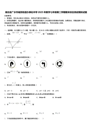 湖北省广水市城郊街道办事处中学2025年数学七年级第二学期期末综合测试模拟试题含解析