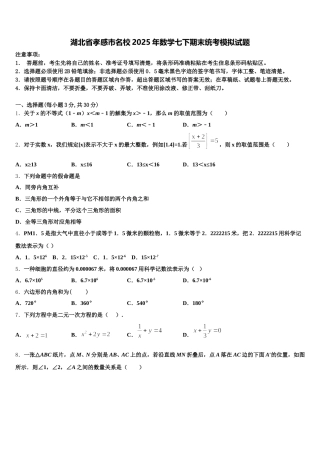 湖北省孝感市名校2025年数学七下期末统考模拟试题含解析