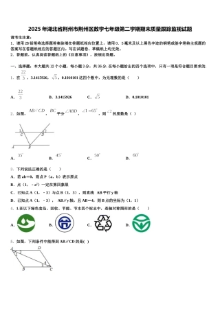 2025年湖北省荆州市荆州区数学七年级第二学期期末质量跟踪监视试题含解析