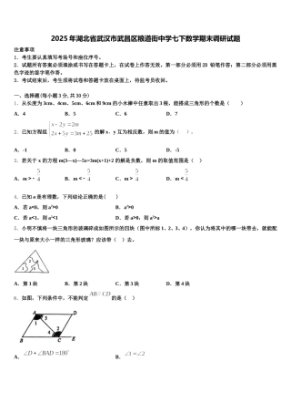 2025年湖北省武汉市武昌区粮道街中学七下数学期末调研试题含解析