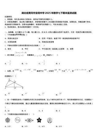 湖北省黄冈市宝塔中学2025年数学七下期末监测试题含解析