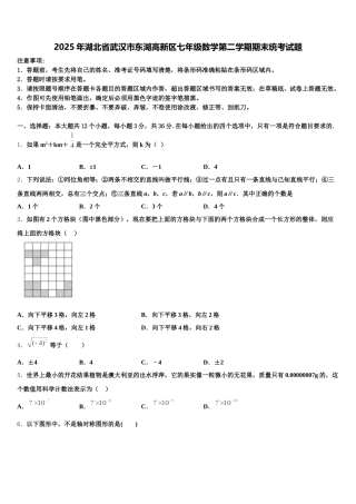 2025年湖北省武汉市东湖高新区七年级数学第二学期期末统考试题含解析