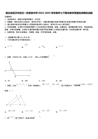 湖北省武汉市武汉一初慧泉中学2024-2025学年数学七下期末教学质量检测模拟试题含解析