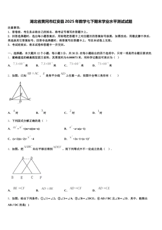 湖北省黄冈市红安县2025年数学七下期末学业水平测试试题含解析