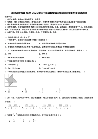 湖北省黄梅县2024-2025学年七年级数学第二学期期末学业水平测试试题含解析