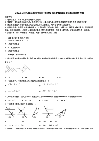 2024-2025学年湖北省荆门市名校七下数学期末达标检测模拟试题含解析