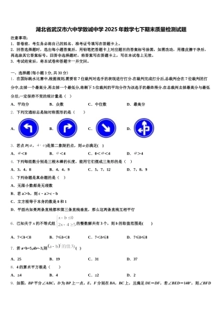 湖北省武汉市六中学致诚中学2025年数学七下期末质量检测试题含解析