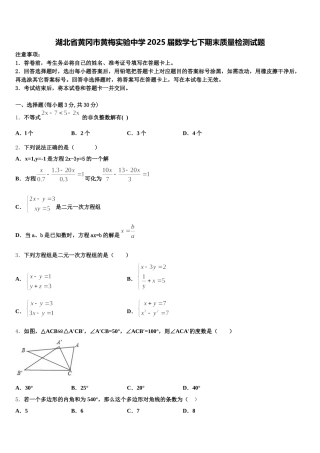 湖北省黄冈市黄梅实验中学2025届数学七下期末质量检测试题含解析