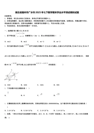 湖北省随州市广水市2025年七下数学期末学业水平测试模拟试题含解析