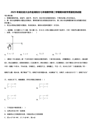 2025年湖北省大冶市金湖街办七年级数学第二学期期末教学质量检测试题含解析
