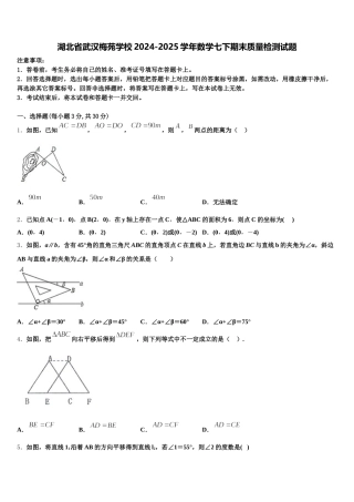 湖北省武汉梅苑学校2024-2025学年数学七下期末质量检测试题含解析