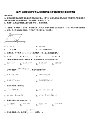 2025年湖北省咸宁市马桥中学数学七下期末学业水平测试试题含解析