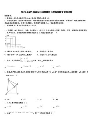 2024-2025学年湖北省曾都区七下数学期末监测试题含解析