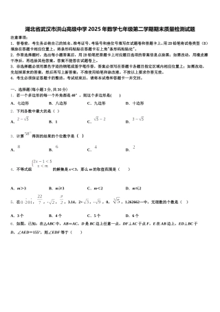 湖北省武汉市洪山高级中学2025年数学七年级第二学期期末质量检测试题含解析