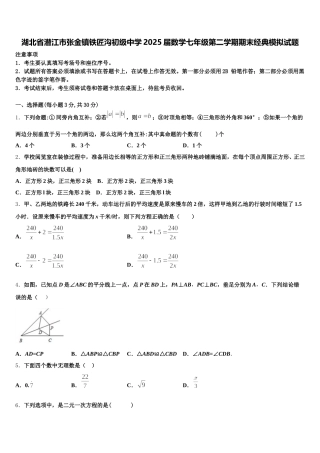 湖北省潜江市张金镇铁匠沟初级中学2025届数学七年级第二学期期末经典模拟试题含解析