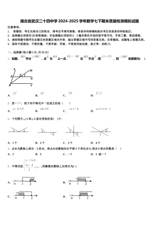 湖北省武汉二十四中学2024-2025学年数学七下期末质量检测模拟试题含解析
