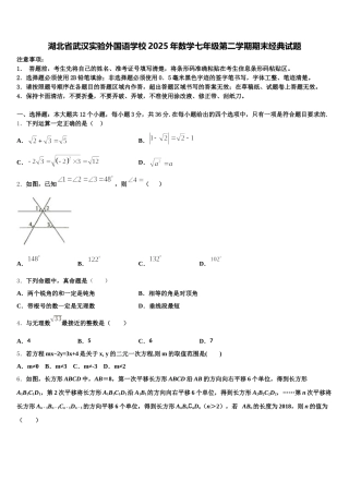 湖北省武汉实验外国语学校2025年数学七年级第二学期期末经典试题含解析