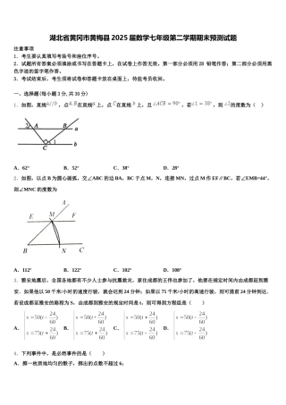 湖北省黄冈市黄梅县2025届数学七年级第二学期期末预测试题含解析