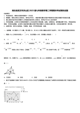 湖北省武汉市洪山区2025届七年级数学第二学期期末考试模拟试题含解析