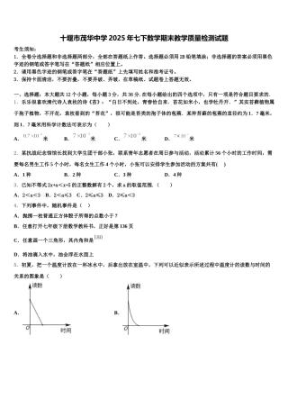 十堰市茂华中学2025年七下数学期末教学质量检测试题含解析