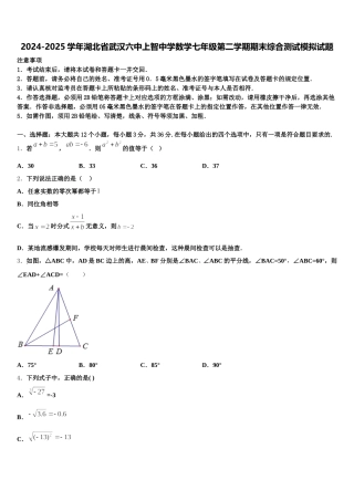 2024-2025学年湖北省武汉六中上智中学数学七年级第二学期期末综合测试模拟试题含解析