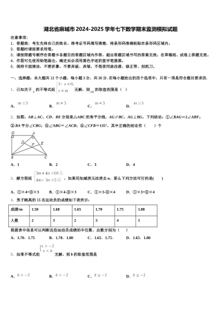 湖北省麻城市2024-2025学年七下数学期末监测模拟试题含解析