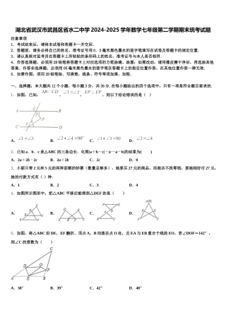 湖北省武汉市武昌区省水二中学2024-2025学年数学七年级第二学期期末统考试题含解析