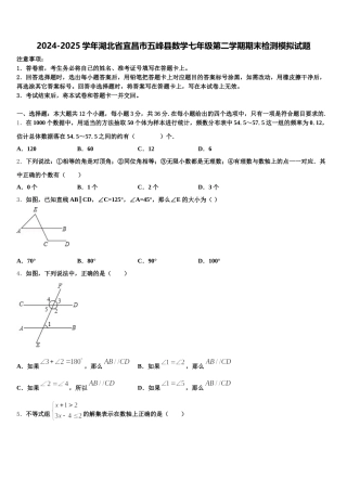 2024-2025学年湖北省宜昌市五峰县数学七年级第二学期期末检测模拟试题含解析