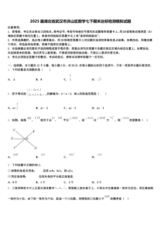 2025届湖北省武汉市洪山区数学七下期末达标检测模拟试题含解析
