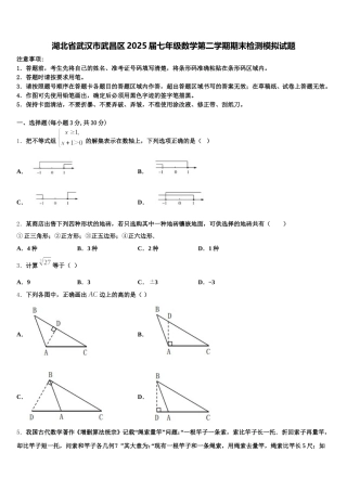 湖北省武汉市武昌区2025届七年级数学第二学期期末检测模拟试题含解析