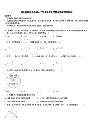 湖北省宣恩县2024-2025学年七下数学期末预测试题含解析