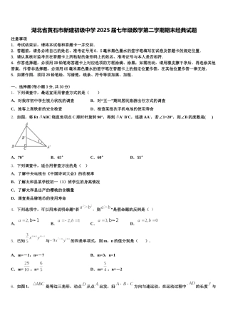 湖北省黄石市新建初级中学2025届七年级数学第二学期期末经典试题含解析