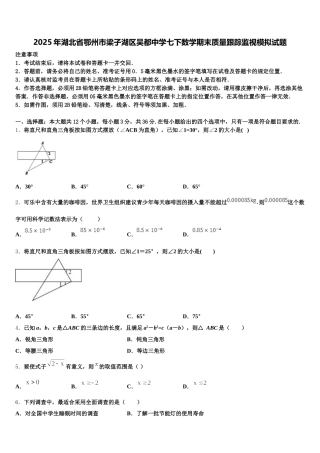 2025年湖北省鄂州市梁子湖区吴都中学七下数学期末质量跟踪监视模拟试题含解析