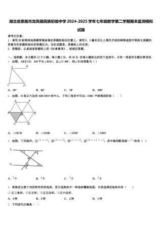 湖北省恩施市龙凤镇民族初级中学2024-2025学年七年级数学第二学期期末监测模拟试题含解析