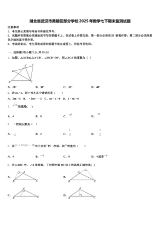 湖北省武汉市黄陂区部分学校2025年数学七下期末监测试题含解析