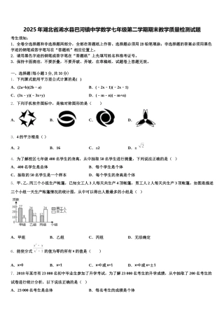 2025年湖北省浠水县巴河镇中学数学七年级第二学期期末教学质量检测试题含解析