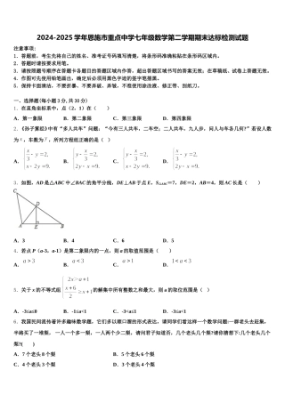 2024-2025学年恩施市重点中学七年级数学第二学期期末达标检测试题含解析