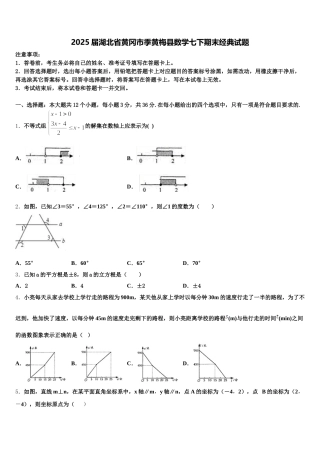2025届湖北省黄冈市季黄梅县数学七下期末经典试题含解析