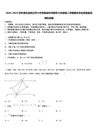 2024-2025学年湖北省武汉市六中学致诚中学数学七年级第二学期期末学业质量监测模拟试题含解析