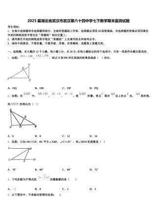2025届湖北省武汉市武汉第六十四中学七下数学期末监测试题含解析