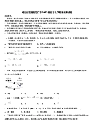湖北省襄阳老河口市2025届数学七下期末统考试题含解析