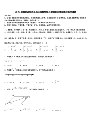 2025届湖北省宣恩县七年级数学第二学期期末质量跟踪监视试题含解析