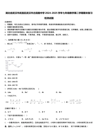 湖北省武汉市武昌区武汉市古田路中学2024-2025学年七年级数学第二学期期末复习检测试题含解析