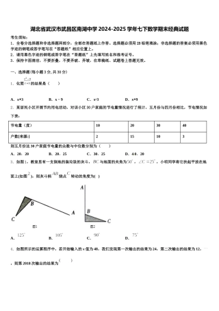湖北省武汉市武昌区南湖中学2024-2025学年七下数学期末经典试题含解析