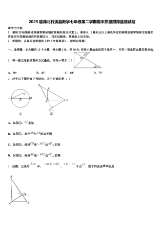 2025届湖北竹溪县数学七年级第二学期期末质量跟踪监视试题含解析