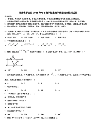 湖北省罗田县2025年七下数学期末教学质量检测模拟试题含解析