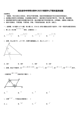 湖北省华中学师大附中2025年数学七下期末监测试题含解析