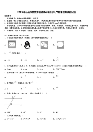 2025年仙桃市西流河镇初级中学数学七下期末统考模拟试题含解析
