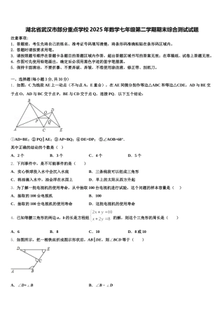 湖北省武汉市部分重点学校2025年数学七年级第二学期期末综合测试试题含解析