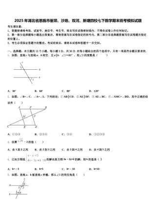 2025年湖北省恩施市崔坝、沙地、双河、新塘四校七下数学期末统考模拟试题含解析